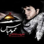 Ali AbdolMaleki Amo Abas